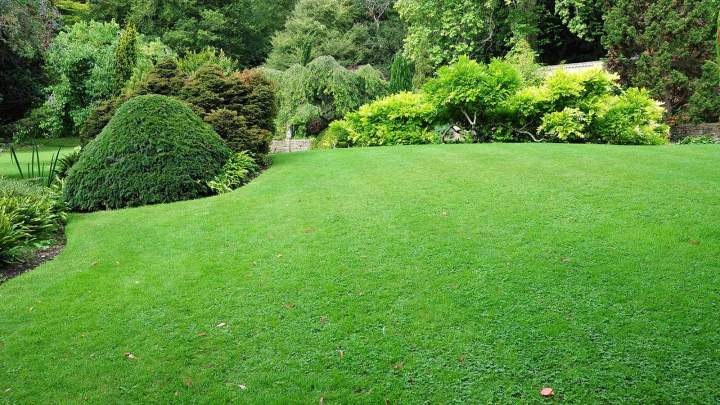 Création de jardin sur mesure Brinon-sur-Sauldre